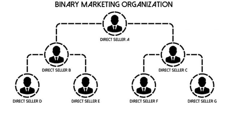 Hierarchy of a Direct Selling Company - Strategy India